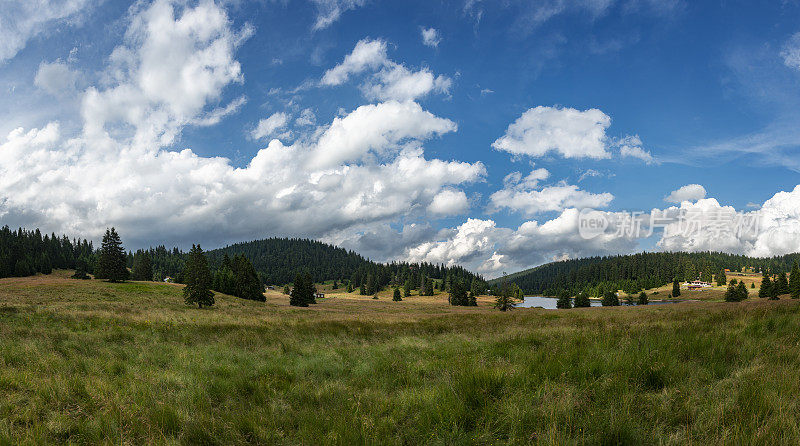 全景视图在Haidushki Polyani地区在保加利亚罗多彼山脉